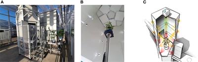 3D data-augmentation methods for semantic segmentation of tomato plant parts